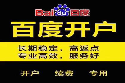 百度推广价格优化：一则旅游行业的成功故事