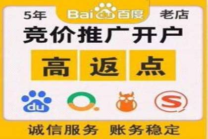 充值高返点策略：成功案例分析与解读
